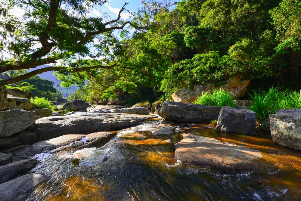 shutterstock 2017591556 TERESÓPOLIS (RJ): O Guia completo da cidade! Com fotos e vídeos (Atualizado 2024)