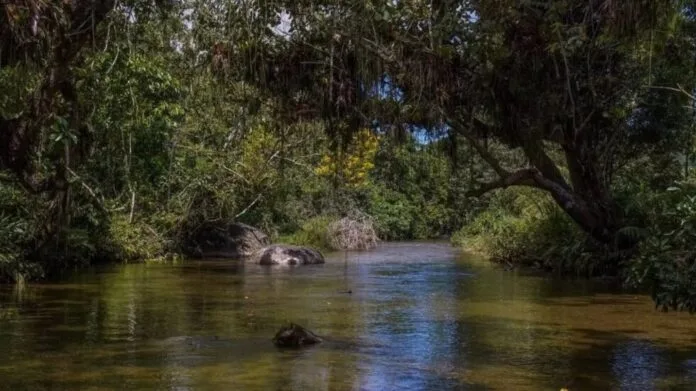 Uma das iniciativas do programa sera a criacao de um roteiro com atrativos turisticos em municipios como Itaguai Mangaratiba e Seropedica Divulgacao 696x391 1 jpg 1 Comitê Guandu-RJ criará programa de incentivo ao turismo agroecológico