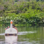 shutterstock 1345039808 Teresópolis (RJ): 5 atrações para curtir o feriado prolongado