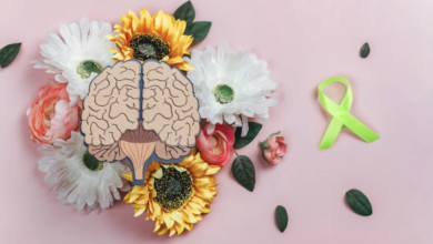 1 captura de tela 2024 11 11 a s 16 18 34 34554988