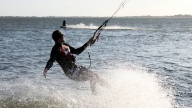 1 whatsapp image 2024 11 08 at 15 48 10 34529494