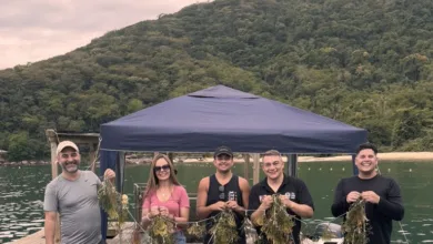 Famtour Angra Fazenda de Algas 768x938