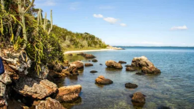 PRAIA DA FAZENDA CARDEIROS 600x337 1 Transparência da Prefeitura de São Pedro da Aldeia recebe selo diamante em ranking nacional realizado pela Atricon