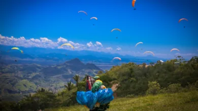 whatsapp image 2024 11 12 at 10 56 55 7 34561164