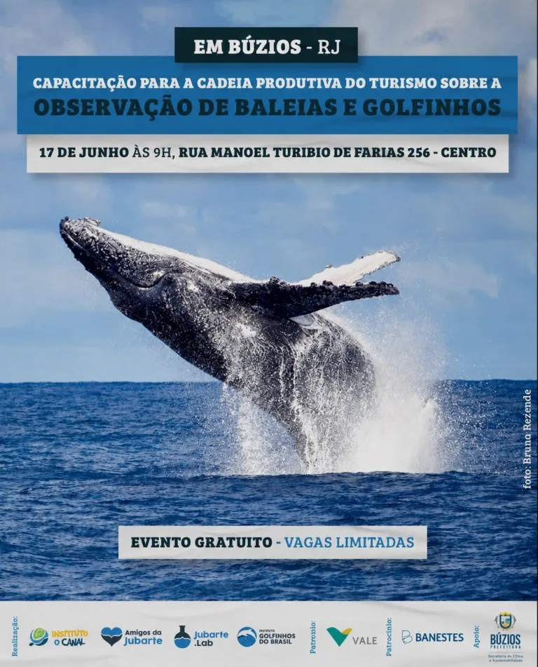 Capacitação Amigos da Jubarte sobre observação de baleias e golfinhos em Búzios