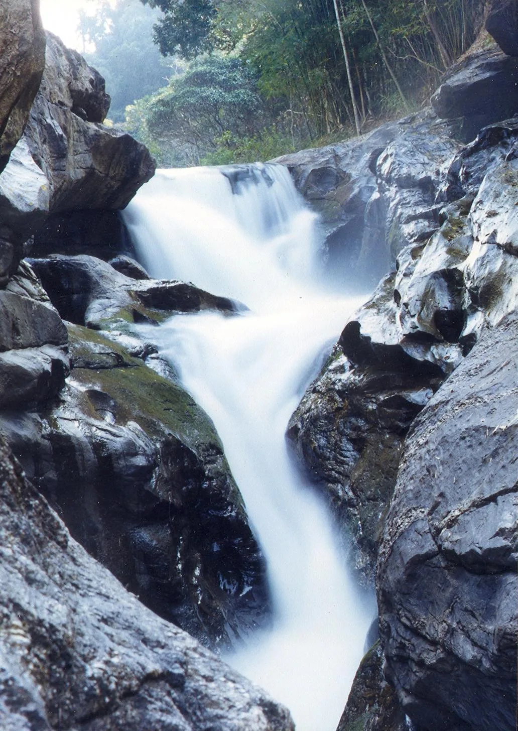 Nova Friburgo e Serra RJ