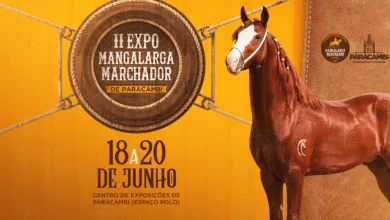 Exposição de Mangalarga Marchador em Paracambi
