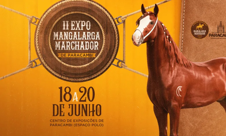 Exposição de Mangalarga Marchador em Paracambi