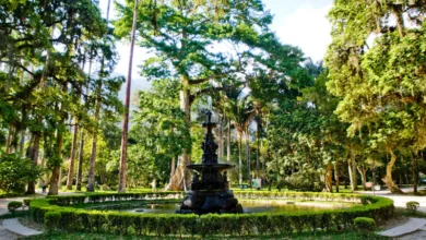 Passeios ao ar livre em família no Rio de Janeiro: parques, praias e natureza