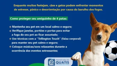 Quatis lança campanha ligada aos gols do Brasil e incentiva regularização