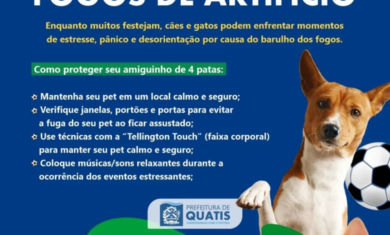 Quatis lança campanha ligada aos gols do Brasil e incentiva regularização