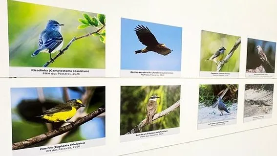 Parque dos Pássaros recebe exposição “Conexão Selvagem”
