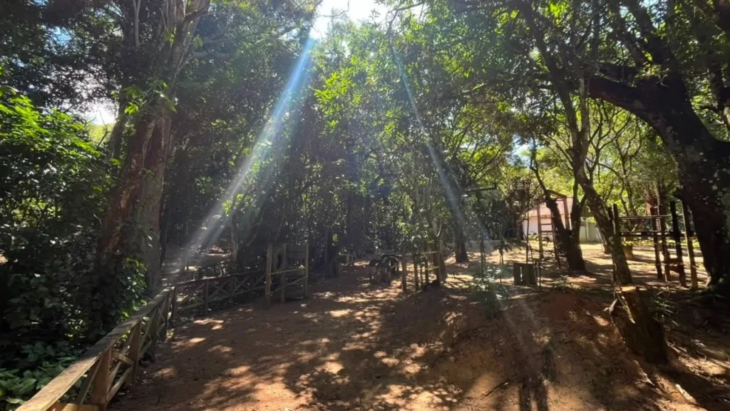 Area verde do Horto Florestal de Barra do Pirai, no Vale do Cafe, onde acontece o evento gratuito Um Dia no Horto com caminhada ecologica e plantio de arvores nativas