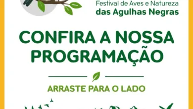Card do FAN 2026 - Festival de Aves e Natureza das Agulhas Negras com a chamada Confira a nossa programacao, ilustracao de saira-militar e silhueta do Pico das Agulhas Negras