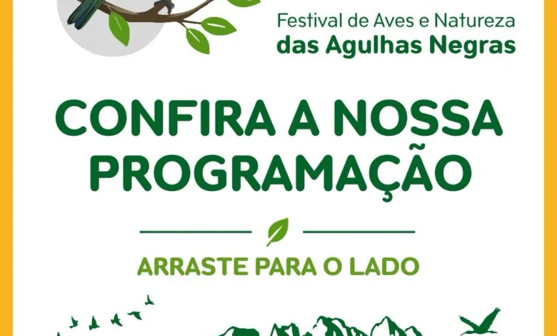 Card do FAN 2026 - Festival de Aves e Natureza das Agulhas Negras com a chamada Confira a nossa programacao, ilustracao de saira-militar e silhueta do Pico das Agulhas Negras
