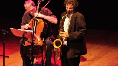 Violoncelista em apresentacao, imagem de divulgacao da 32a edicao do Festival Rio Cello, que abre em Volta Redonda com concertos gratuitos em agosto de 2026