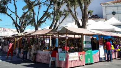 Maricá - Maricá celebra 13 anos da Moeda Mumbuca com feira e atendimentos à população no Centro