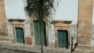 Paraty - Paraty avanca em plano de arborizacao com novo plantio na Matriz