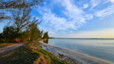 Araruama - Bacteria de lagoas de Araruama ajuda estudo sobre possibilidade de vida em Marte
