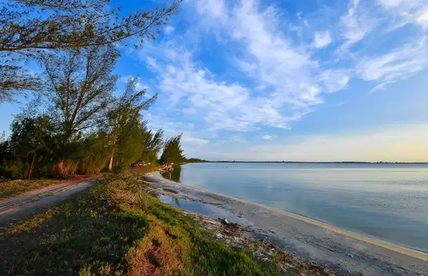 Araruama - Bacteria de lagoas de Araruama ajuda estudo sobre possibilidade de vida em Marte